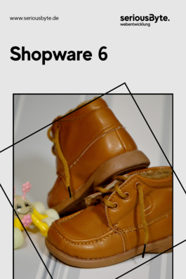 Infos zu Shopware 6
